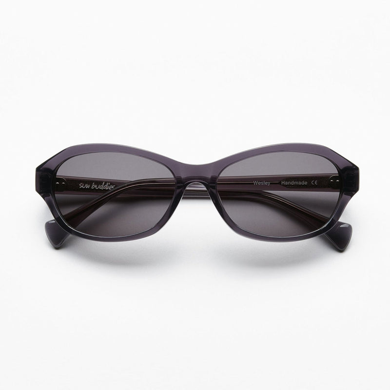 Wesley Sunglasses Transparent Grey