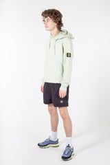 Brushed Cotton Fleece Sweathshirt Pistachio